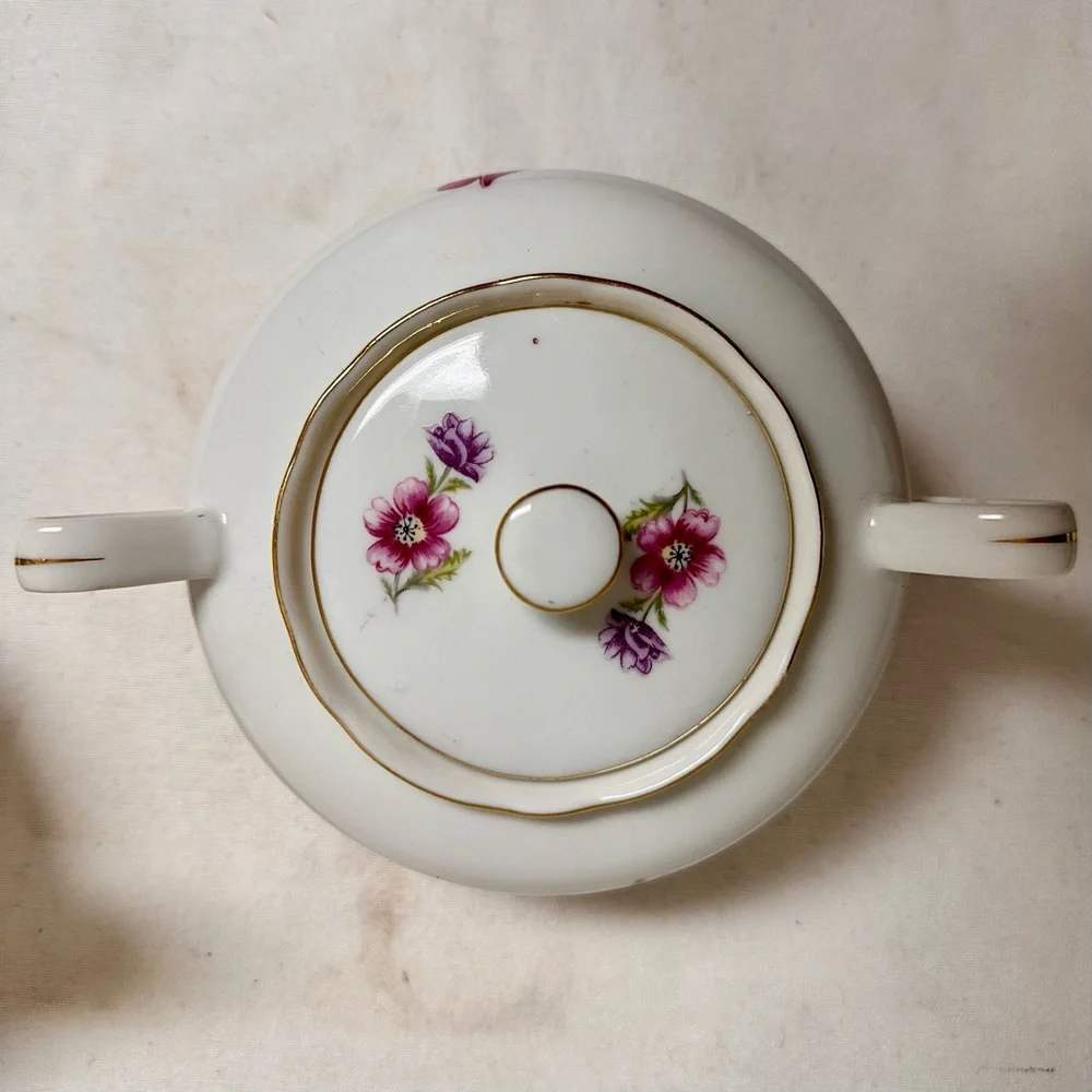 Vintage Floral Porcelain Creamer and Sugar Set, Czeckoslovakia